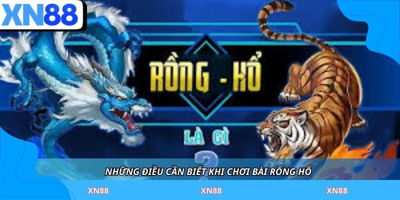 Những điều cần biết khi chơi bài rổng hổ